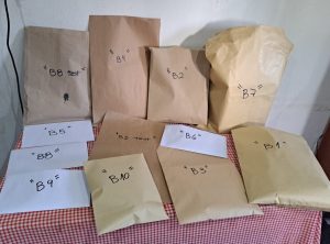 “Operativo Bordolino”: Tres personas detenidas tras incautarse cocaína, dinero y arma de fuego