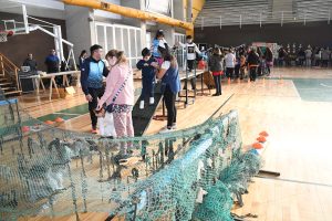 Encuentro recreativo: los jardines conmemoraron el Día de la Actividad Física