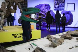 El “Padre Manuel Jesús Molina” duplicó los visitantes en la “Noche de los Museos”