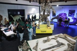 El “Padre Manuel Jesús Molina” duplicó los visitantes en la “Noche de los Museos”