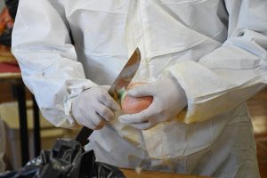Se viene el 25 de Mayo: comenzaron los preparativos para "Celebrar la Patria" con un gran locro en Río Gallegos