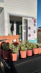 #AccionesVerdes: Se realizó una nueva jornada de EcoCanje Electrónico en Santa Cruz