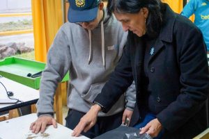 Desarrollo Social fortalece el trabajo por los derechos de las personas con discapacidad