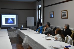 Capacitaron en ecografías Pocus a profesionales de salud de Santa Cruz