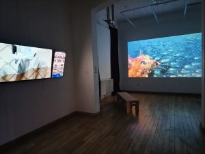 El Museo de Arte Eduardo Minnicelli invita a visitar la muestra ONIRIA