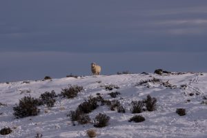 Vidal recorre las zonas más afectadas del norte de Santa Cruz