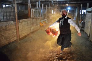 Himno desde el Sur: Artistas Santacruceños grabaron una versión inédita de la canción patria