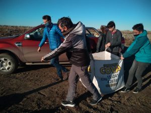 Primer material recolectado de la campaña “Compostando en Otoño”