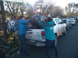 Primer material recolectado de la campaña “Compostando en Otoño”