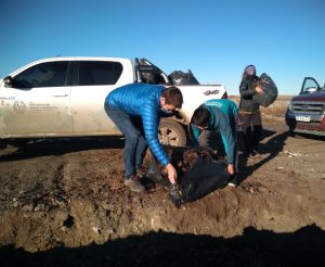 Primer material recolectado de la campaña “Compostando en Otoño”