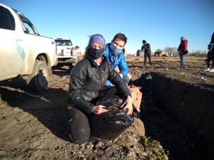 Primer material recolectado de la campaña “Compostando en Otoño”