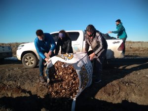 Primer material recolectado de la campaña “Compostando en Otoño”