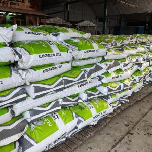 Brian Watson: "Hay productores que siguen en estado de alerta"