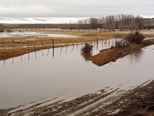 Monitoreo y acciones del Comité de Operaciones de Emergencia en distintos puntos de la provincia