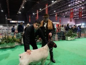 Vidal en la Rural: “Necesitamos recuperar la economía a partir de la producción y el trabajo”