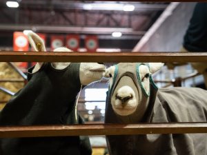 Vidal en la Rural: “Necesitamos recuperar la economía a partir de la producción y el trabajo”
