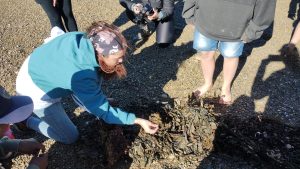 El próximo domingo se realizará la primera edición de “Cafecito de Mar”