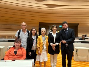 Santa Cruz participó del Comité sobre los Derechos de las Personas con Discapacidad de las Naciones Unidas