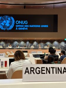 Santa Cruz participó del Comité sobre los Derechos de las Personas con Discapacidad de las Naciones Unidas
