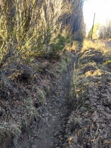 Trabajan en la limpieza y el acondicionamiento de canales de riego en Los Antiguos