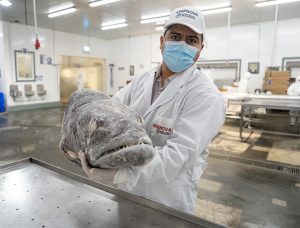 Vidal creó la Empresa Provincial de Alimentos