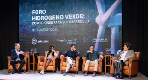 Foro de Hidrógeno Verde: Vidal destacó las oportunidades que ofrece la provincia para el desarrollo de energías renovables