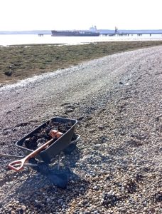 El Gobierno de Santa Cruz refuerza el control ambiental tras incidente en Punta Loyola