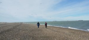 El Gobierno de Santa Cruz refuerza el control ambiental tras incidente en Punta Loyola