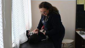 Río Gallegos: Realizaron un nuevo operativo #EstamosConVos