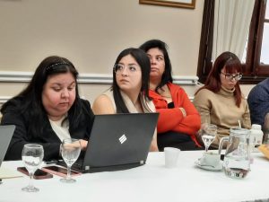 Avanza el proyecto de urbanización en El Chaltén