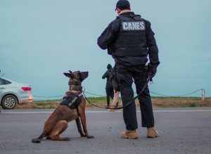 Operativo “Recital La Renga”: Amplio despliegue policial para garantizar la seguridad