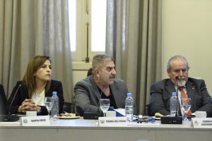 Consejo Federal de Educación: Santa Cruz participó en la presentación del Programa de Formación Docente en Alfabetización