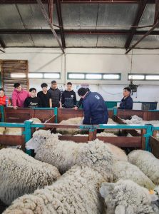 Estudiantes de la Escuela Agropecuaria N° 1 participaron del curso sobre Acondicionamiento y Esquila