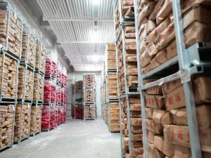 Importante acuerdo para la industrialización del sector pesquero en Santa Cruz