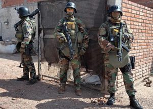 Seguridad: detuvieron a la “Banda de los Cerrajeros”