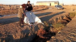 #AccionesVerdes: Continúa la entrega de hojas en el marco de la campaña “Compostando en Otoño"