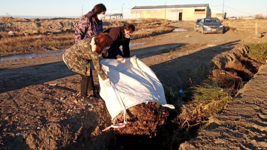 #AccionesVerdes: Continúa la entrega de hojas en el marco de la campaña “Compostando en Otoño"