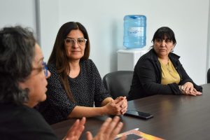 Salud: reunión de trabajo junto a diputados