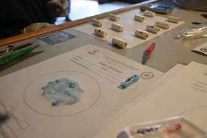 Operativo "Cóndor Andino": tres allanamientos, dos detenidos e incautación de cocaína y armas