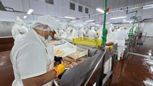 Vidal: "Con trabajo, producción y paz social, a Santa Cruz la sacamos adelante"