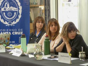 25N: Se concretó el Consejo Provincial de Mujeres de Santa Cruz