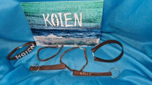 Gran convocatoria en la Semana del Mar en la Escuela de Biología Marina de Caleta Olivia