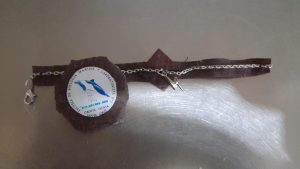 Gran convocatoria en la Semana del Mar en la Escuela de Biología Marina de Caleta Olivia