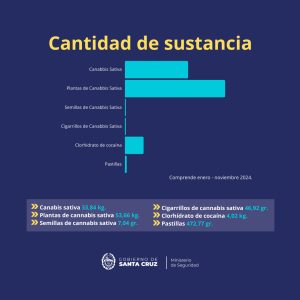 Seguridad: se secuestraron más de 92 kilos de droga en Santa Cruz