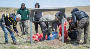 El Bloque Errático: un monumento natural que refleja la historia de Santa Cruz