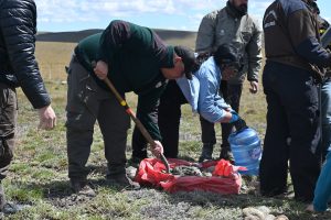 El Bloque Errático: un monumento natural que refleja la historia de Santa Cruz