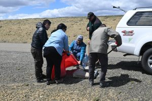 El Bloque Errático: un monumento natural que refleja la historia de Santa Cruz