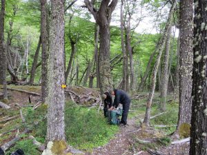 Turismo responsable: El CAP refuerza acciones de prevención en El Chaltén