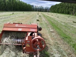 Importante inversión del Consejo Agrario Provincial para el desarrollo agrícola en Santa Cruz