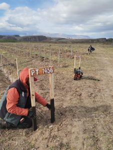 Importante inversión del Consejo Agrario Provincial para el desarrollo agrícola en Santa Cruz